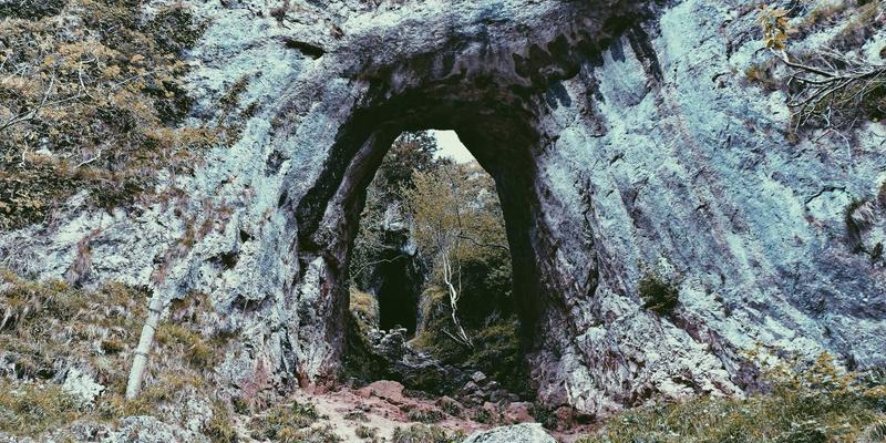 SP软件下载与技术指南：从编程教程到高效应用的全方位分享