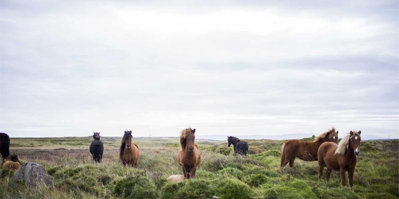 SP软件与数字工具下载指南：安全高效获取技术资源的5大最佳实践