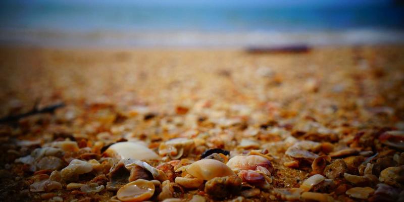 SP软件深度评测：这款数字工具如何提升你的工作效率与技术视野？