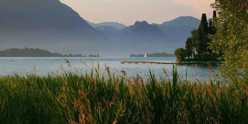 专业数据恢复软件下载指南：从编程原理到未来科技趋势的深度解析
