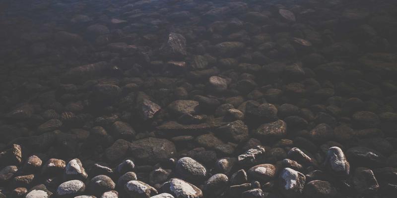 学术研究利器：EndNote与SPSS机构授权下载与激活全攻略