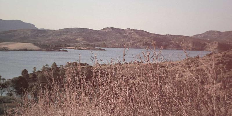 技术分享：如何合法获取SolidWorks、CATIA等CAD/CAM工业设计软件的授权版本？