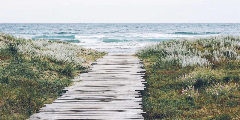 技术分享：安全下载YouTube、Vimeo等平台辅助工具与插件的终极指南