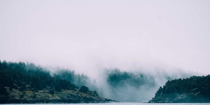 数字工具与编程教程：专业设计软件正版获取全攻略（AutoCAD、SketchUp、Blender）