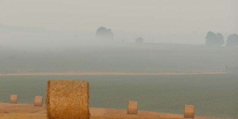 未来科技时代软件下载全攻略：从编程教程到安全实践