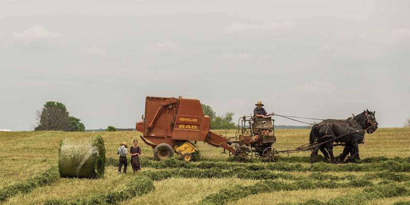 虚拟机与容器镜像下载全攻略：VMware、VirtualBox及Docker官方源使用教程