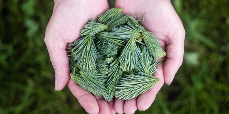 解锁数字潜能:SP软件下载与编程教程如何重塑您的数字工具生态