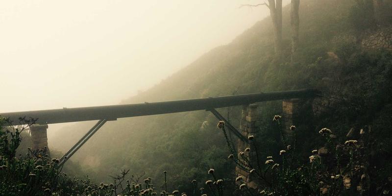 解锁未来科技：如何通过图书馆与教育机构权限免费获取学术数据库与数字工具