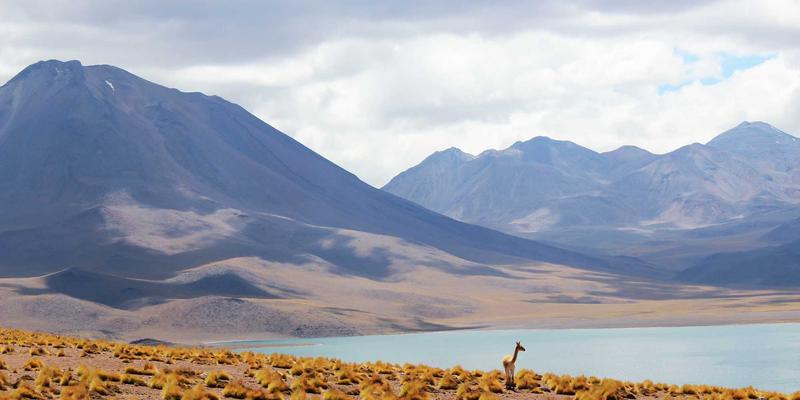 软件下载43:揭秘未来科技浪潮中的SP软件,技术分享引领效率革命