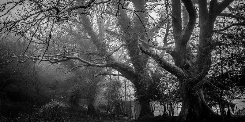 软件下载53：解锁数字工具与未来科技的编程新视界