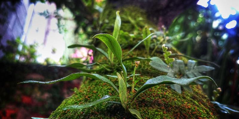 软件下载54：精选编程教程与SP软件技术分享，助力开发者高效进阶