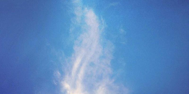 软件下载60：精选编程教程、技术分享与数字工具全指南