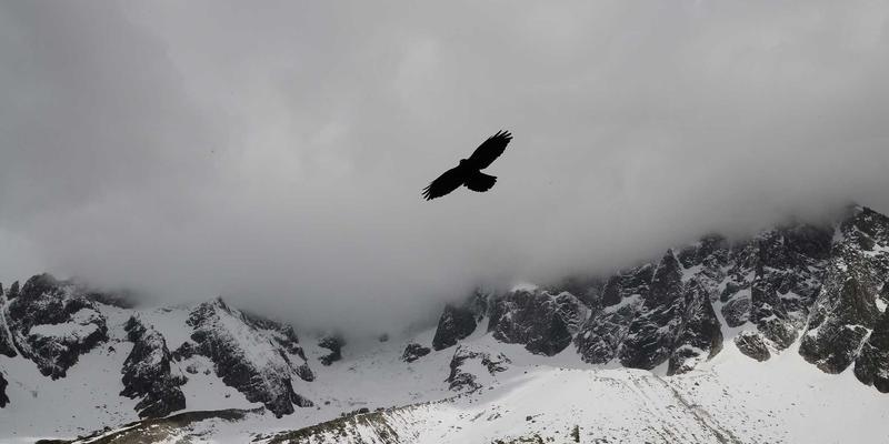 软件下载62：解锁数字工具新维度，SP软件高效获取指南