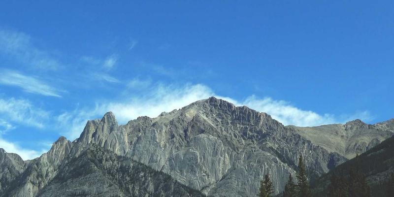 软件下载63：编程教程与未来科技的融合入口