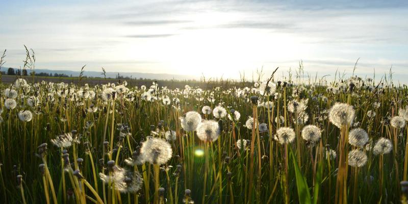 软件下载73：从编程教程到未来科技，一站式技术资源导航