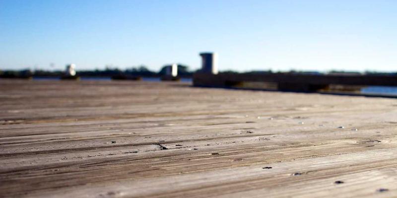 软件下载81：探索未来科技的数字工具宝库与技术分享平台