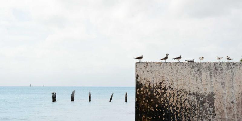 软件下载98：开启未来科技之门，从编程教程与技术分享开始