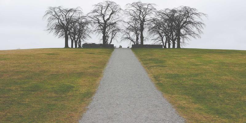 软件下载安全指南：未来科技时代，哪个应用商店最可靠？